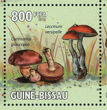 Mushrooms Stamp Amanita Pachycolea Boletus Edulis Leccinum Versipelle S/S MNH