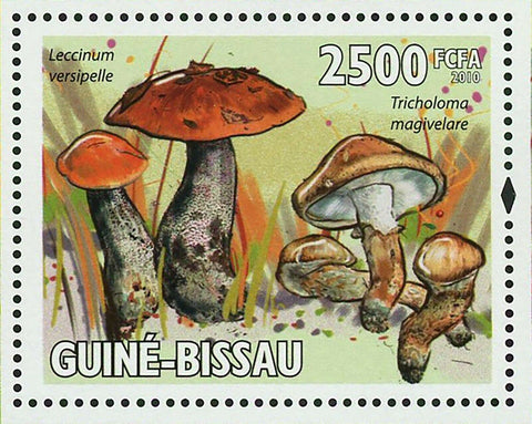Mushrooms Stamp Pholiota Squarrosa Boletus Edulis S/S MNH #4628 / Bl.752