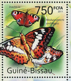 Butterflies Stamp Insects Inachis Io Cithaerias Phantoma Greta Oto S/S MNH #5424