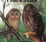 Owls Stamp Birds Asio Madagascariensis Ninox Connivens S/S MNH #4383 / Bl.419