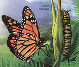 Monarch Butterflies Stamp Danaus Plexippus Insect Souvenir Sheet MNH #4279