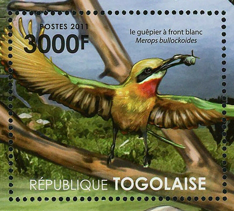 Ecosystem of Victoria Lake Stamp Rhinoceros Merops Variegatus S/S MNH #4227