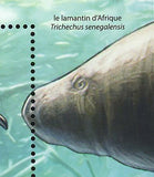 Fauna of Mangroves Forests of Central Africa Trichechus Senegalensis S/S MNH