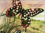 Butterflies Stamp Papilio Demodocus Phamacophagus Antenor S/S MNH #4839 / Bl.493