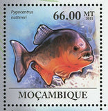 Piranhas Stamp Fish Pygocentrus Nattereri Serrasalmus Manueli S/S MNH #4287-4292