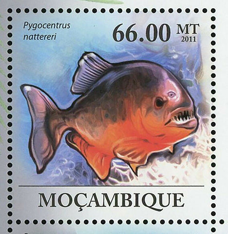 Piranhas Stamp Fish Pygocentrus Nattereri Serrasalmus Manueli S/S MNH #4287-4292