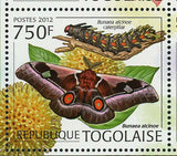 Butterflies Stamp Euchloroon Megaera Daphnis Nerii S/S MNH #4423-4426