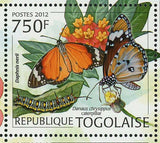Butterflies Stamp Euchloroon Megaera Daphnis Nerii S/S MNH #4423-4426