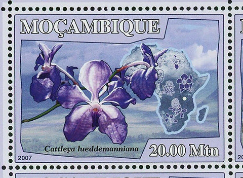 Orchids Stamp Flowers Paphiopedilum Vanda Coerulea S/S MNH #2912-2917