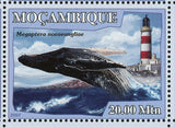 Whales Stamp Lighthouses Balaenoptera Physalus Orcinus Orca S/S MNH #3050-3055