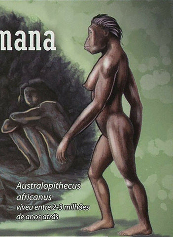 Human Evolution Stamp Homo Habilis Homo Erectus Australopithecus S/S MNH #4469