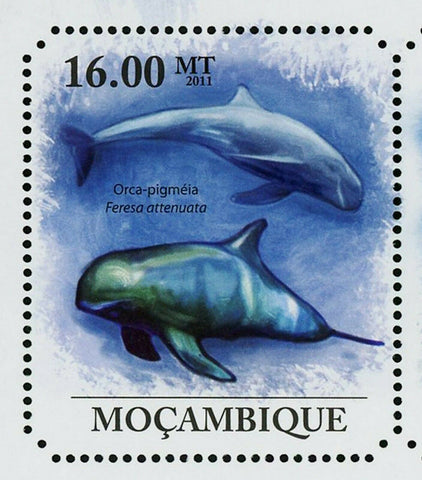 Whales Stamp Feresa Attenuata Balaenoptera Borealis Orcinus Orca S/S MNH #5008