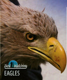 Eagles Stamp Bird Haliaeetus Albicilla Souvenir Sheet MNH #3264 / Bl.459