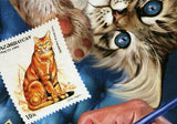 Cats Stamp Postage Stamps Polska Pet Domestic Animal S/S MNH #3158 / Bl.443