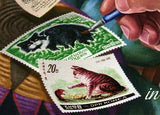 Cats Stamp Postage Stamps Polska Pet Domestic Animal S/S MNH #3158 / Bl.443