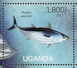 Fish Stamp Thunnus Maccoyii Schilbe Mystus Oxynotus Centrina S/S MNH #3020-3023