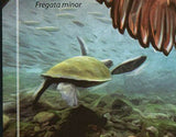 Galapagos Islands Stamp Fauna Fregata Minor Chelonoidis Nigra S/S MNH #4836-4837