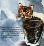 Cats Record Breakers Stamp Taller Maine Coon Savannah S/S MNH #4852-4853 /Bl.839