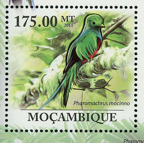 Resplendent Quetzal Birds Stamp Pharomachrus Mocinno S/S MNH #4380 / Bl.416