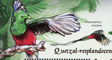 Resplendent Quetzal Birds Stamp Pharomachrus Mocinno S/S MNH #4380 / Bl.416
