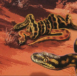 Snakes Stamp Eggs Nest Reptiles Serpent Souvenir Sheet MNH #3048 / Bl.593