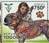 World Veterinary Year 2011 Stamp Dogs Pet Domestic Animal S/S MNH #4100-4105
