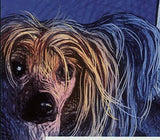 World Veterinary Year 2011 Stamp Dogs Medicine First Aid Animals S/S MNH #4106