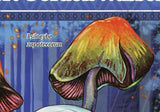 Robert Gordon Wasson Stamp Mushrooms Psilocybe Semilanceata S/S MNH #3968/Bl.603