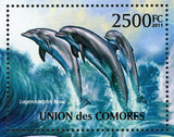 Dolphins Stamp Stenella Longirostris Lagenodelphis Hosel S/S MNH #3078 / Bl.635