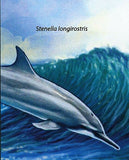 Dolphins Stamp Stenella Longirostris Lagenodelphis Hosel S/S MNH #3078 / Bl.635