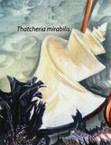 Shells Stamp Murex Alabaster Tibia Fusus Thatcheria Mirabilis S/S MNH #2964