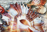 Shells Stamp Murex Alabaster Tibia Fusus Thatcheria Mirabilis S/S MNH #2964