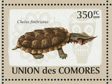 Turtles Stamp Dermochelys Coriacea Chelus Fimbriatus S/S MNH #2177-2182