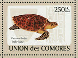 Turtles Stamp Dermochelys Coriacea Chelus Fimbriatus S/S MNH #2177-2182