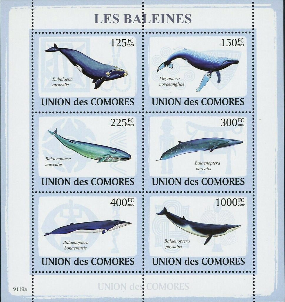 Whales Stamp Eubalaena Australis Balaenoptera Musculus S/S MNH #2121-2126