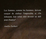 Amelia Earhart Stamp Famous Women First Flight S/S MNH #2952 / Bl.314