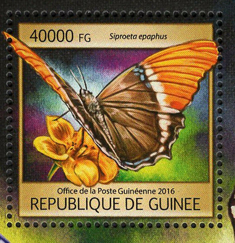 Butterflies Stamp Siproeta Epaphus Phengaris sp. Melanis sp. S/S MNH #11790 / Bl