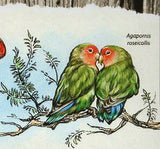 Parrots Stamp Ara Macao Ara Ararauna Birds S/S MNH #6304 / Bl.1482