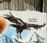 Endangered Species Stamp Pongo Pygmaeus Mustela Nigripes S/S MNH #6284 / Bl.1478