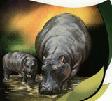 Hippopotamus Stamp Hippo Amphibious Souvenir Sheet MNH #1286