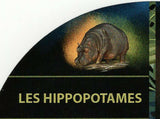 Hippopotamus Stamp Hippo Amphibious Souvenir Sheet MNH #1286