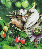 Parrots Stamp Deroptyus Accipitrinus Psittacula Eupatria S/S MNH #6691 / Bl.777