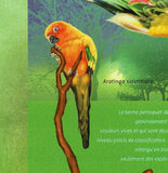 Parrots Stamp Ara Ararauna Aratinga Solstitialis S/S MNH #10358 / Bl.2364