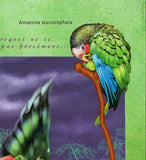 Parrots Stamp Ara Ararauna Aratinga Solstitialis S/S MNH #10358 / Bl.2364
