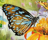 Butterflies Stamp Ornithoptera Alexandrae Tirumala Limniace S/S MNH #11167