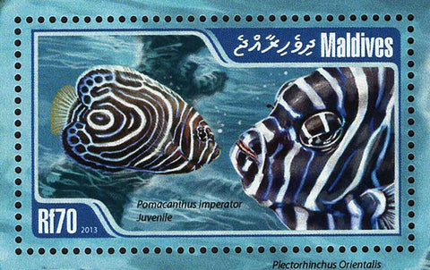 Fish Stamp Chaetodon Collare Pomacanthus Imperator S/S MNH #4912 / Bl.647