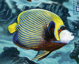 Fish Stamp Chaetodon Collare Pomacanthus Imperator S/S MNH #4912 / Bl.647