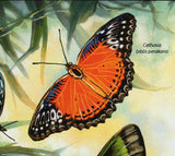 Butterflies Stamp Cethosia Bibiis Perakana Papilio Memno Agenor S/S MNH #4902