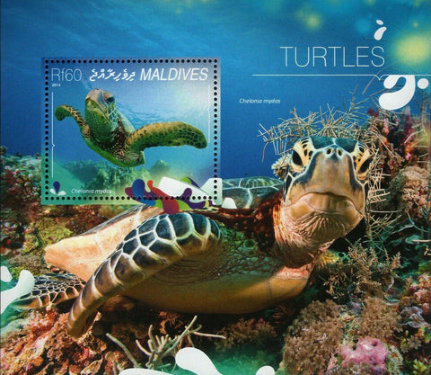 Turtles Stamp Chelonia Mydas Marine Fauna Souvenir Sheet MNH #5419 / Bl.746
