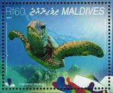 Turtles Stamp Chelonia Mydas Marine Fauna Souvenir Sheet MNH #5419 / Bl.746